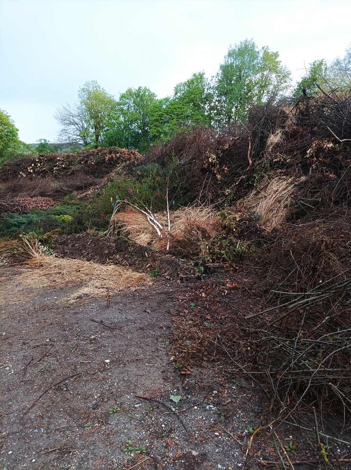 IMG_20220504_164003.klein_